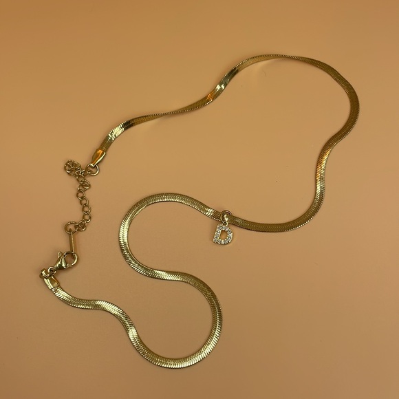 Titanium Steel and Zircon Snake Adjustable Length Necklace With Initial - Picture 3 of 6